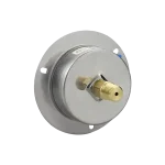 Manomètre en acier inoxydable avec connexion en cuivre